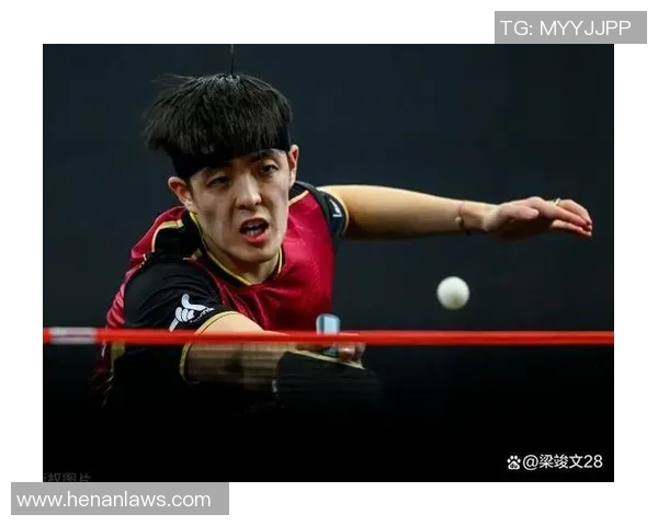 对话杨磊：回顾乒乓球生涯的辉煌与挑战之路