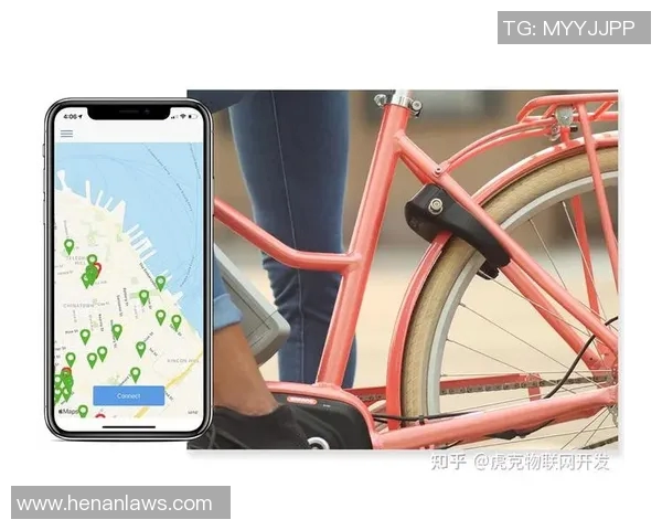 武汉极限运动队的转型之路与未来发展探索
