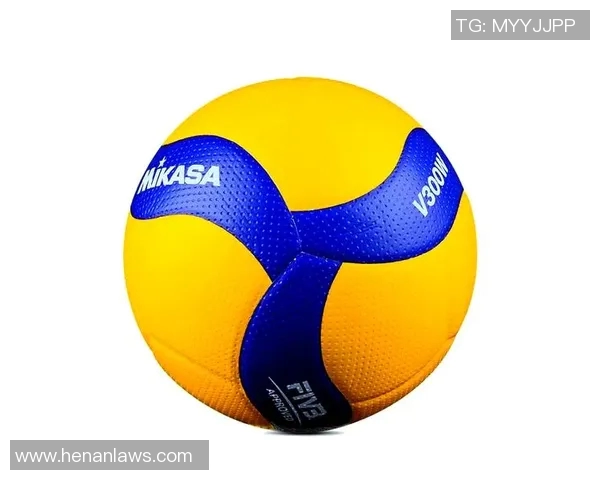 南京排球队的力量与荣耀：聚焦排球运动的魅力与发展