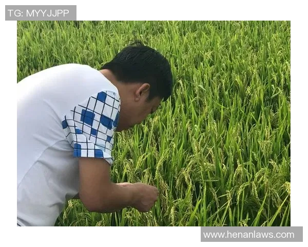对话羽毛球传奇黄伟回顾辉煌生涯与未来展望 对话羽毛球传奇黄伟回顾辉煌生涯与未来展望
