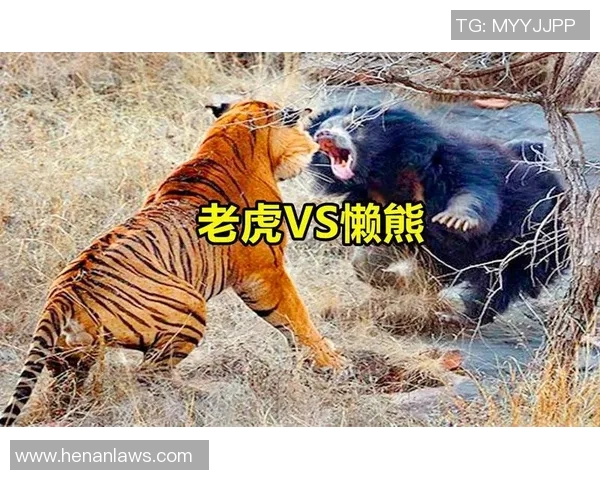 韩国队与智利队激战正酣谁将赢得这场国际友谊赛的胜利 韩国队与智利队激战正酣谁将赢得这场国际友谊赛的胜利