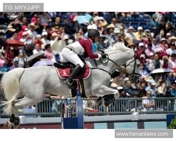 纽约巨人对决匹兹堡钢人精彩赛事回顾与分析 纽约巨人对决匹兹堡钢人精彩赛事回顾与分析