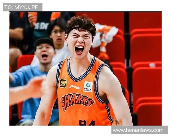 王哲林在CBA赛场的崛起与挑战解析，展望未来篮球生涯的无限可能